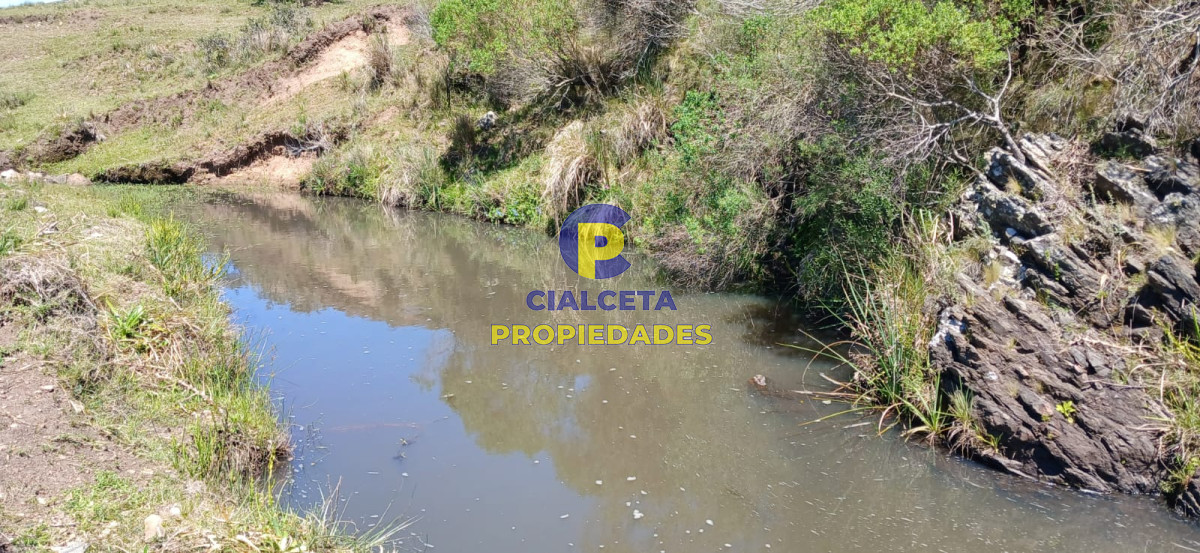 Campo Ref.324 - 215 hectáreas en Lavalleja