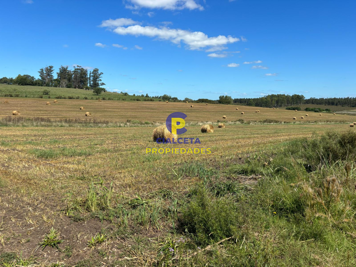Campo Ref.567 - Linda fracción de 16 hectáreas y media con casa y galpón, buen acceso