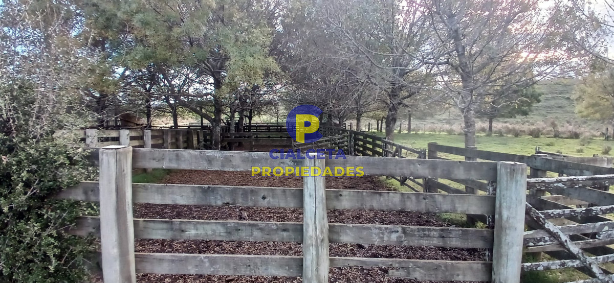 49 hectáreas en Lavalleja - GoPunta - Portal Inmobiliario de Punta del Este - Maldonado