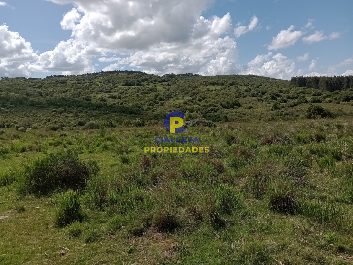 Campo Ref.102 - 98 hectáreas en Maldonado