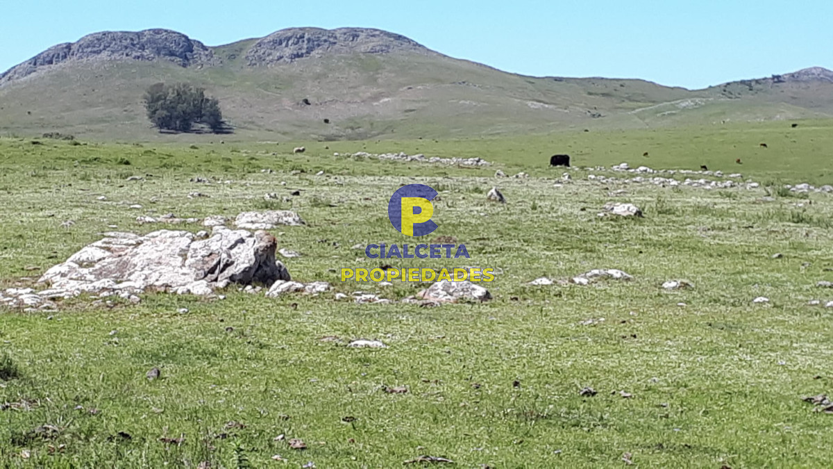 Campo Ref.323 - 115 hectáreas en Lavalleja
