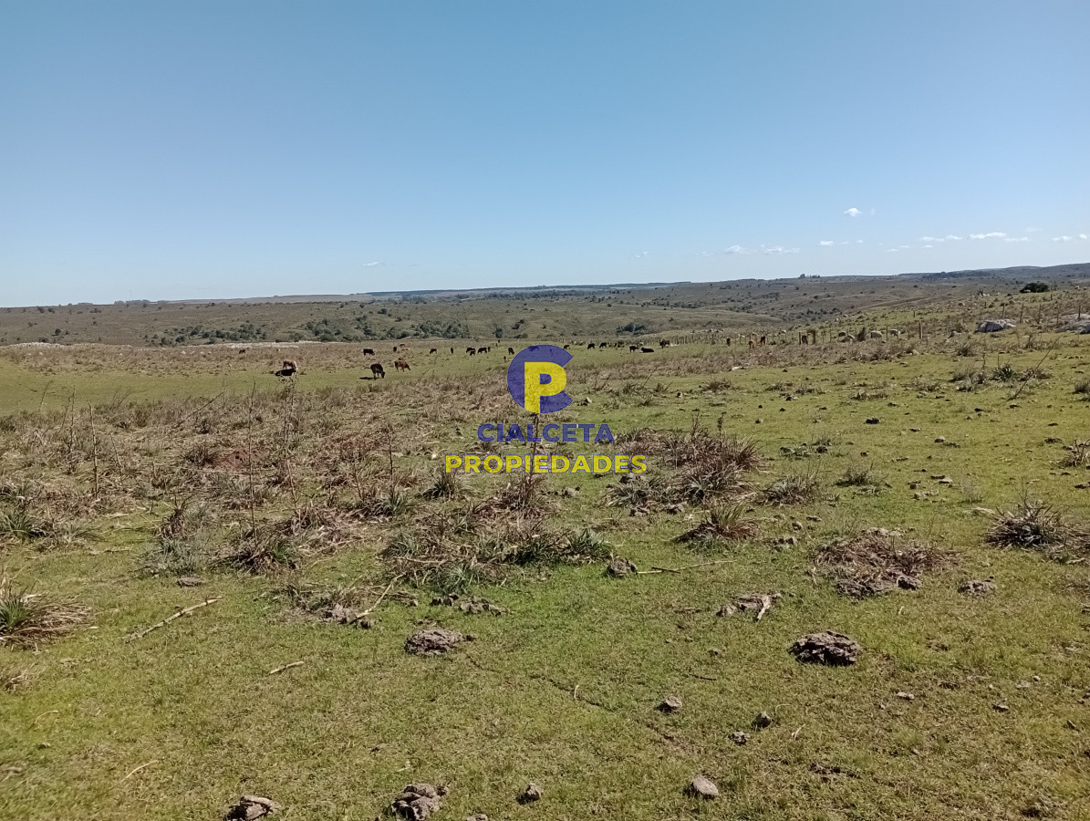 Campo Ref.136 - 811 hectáreas en Treinta y Tres