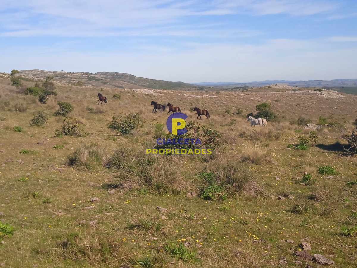 Campo Ref.203 - 5 hectáreas en las Cañas