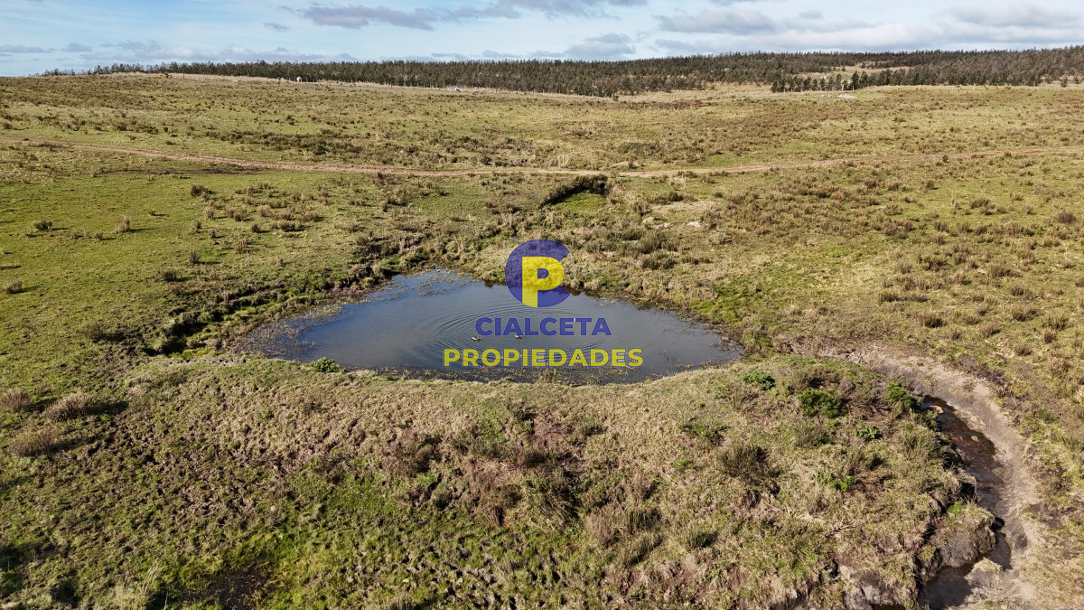 Campo Ref.465 - 24 hectáreas en Lavalleja, a 6 km de Villa Serrana