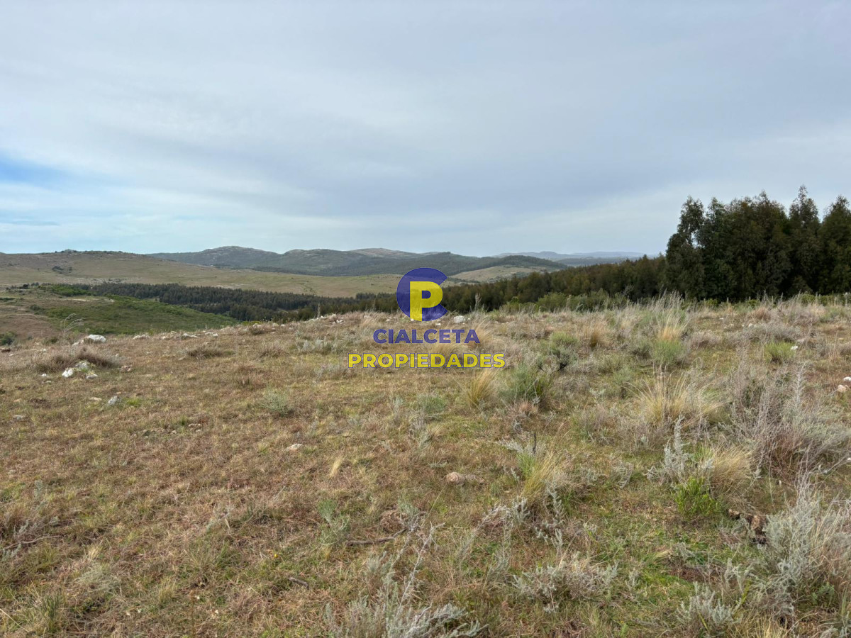 Campo Ref.441 - 200 hectáreas con muy buena vista