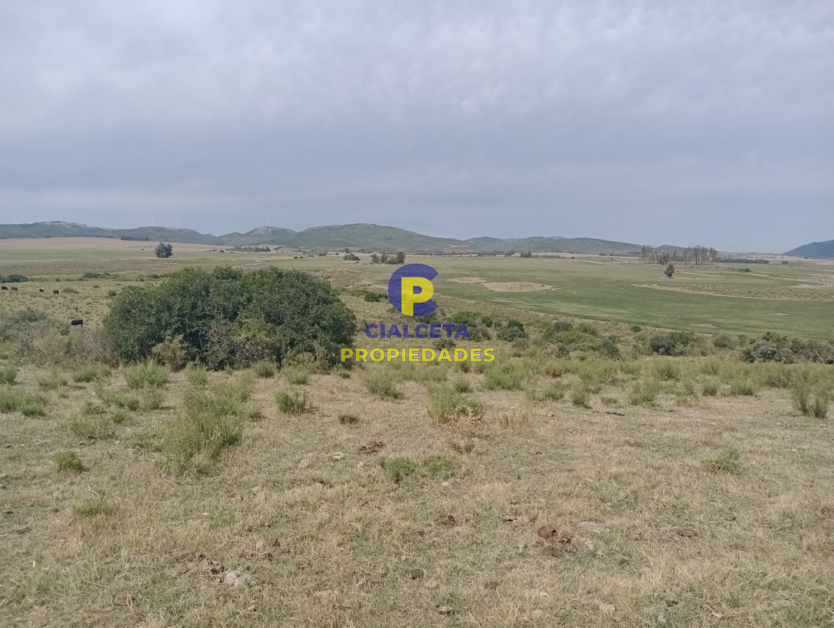 Campo Ref.79 - 170 hectáreas en lavalleja