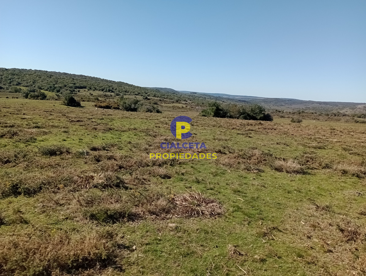 Campo Ref.135 - 2957 hectáreas en Cerro Largo
