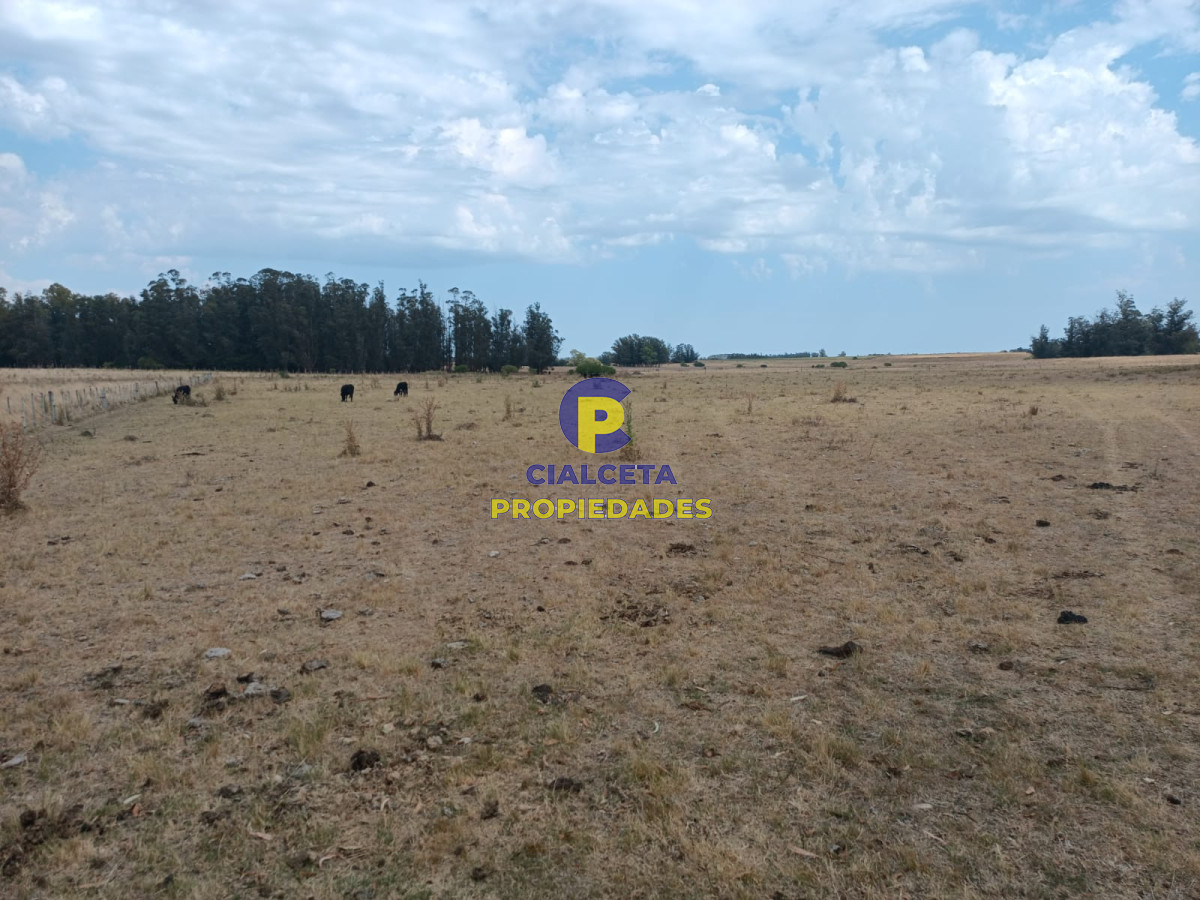 Campo Ref.69 - 180 hectáreas en Lavalleja