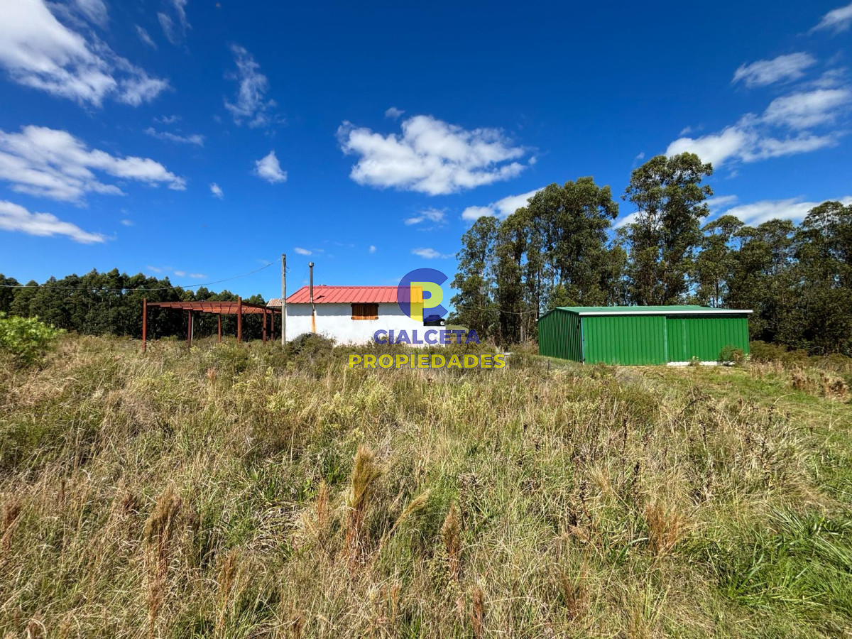 Campo Ref.567 - Linda fracción de 16 hectáreas y media con casa y galpón, buen acceso