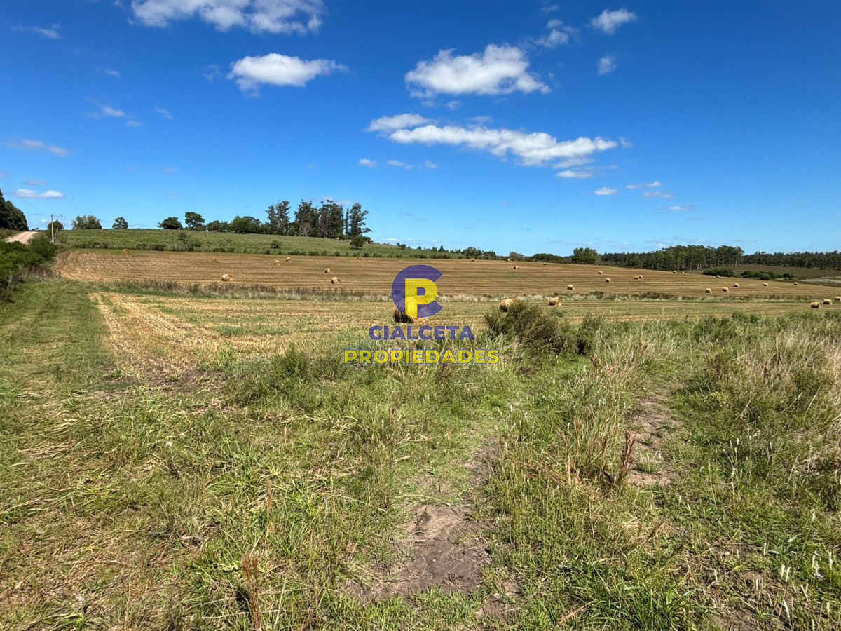 Campo Ref.567 - Linda fracción de 16 hectáreas y media con casa y galpón, buen acceso