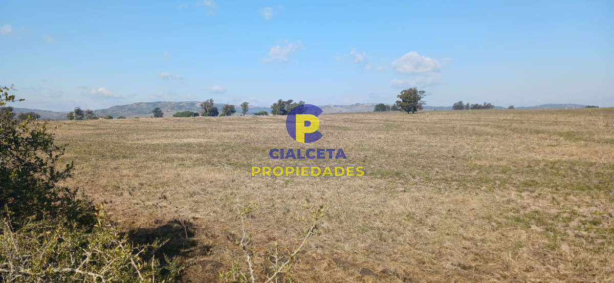 Campo Ref.475 - 386 hectáreas en Maldonado