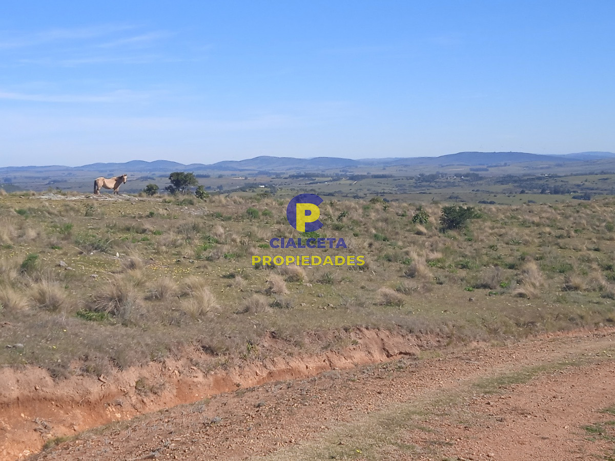 Campo Ref.203 - 5 hectáreas en las Cañas