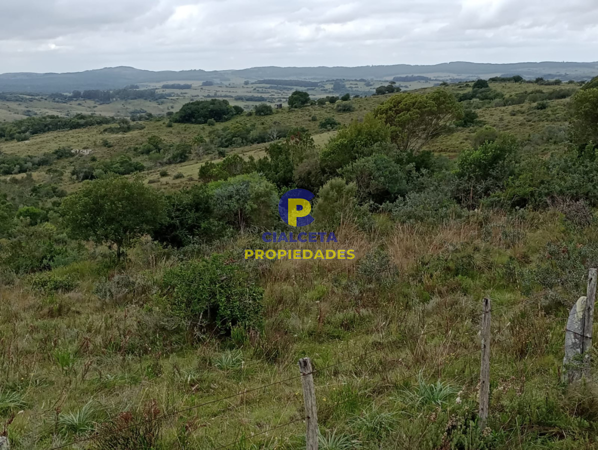 Campo Ref.195 - 48 hectáreas con 8 mil metros en Garzón