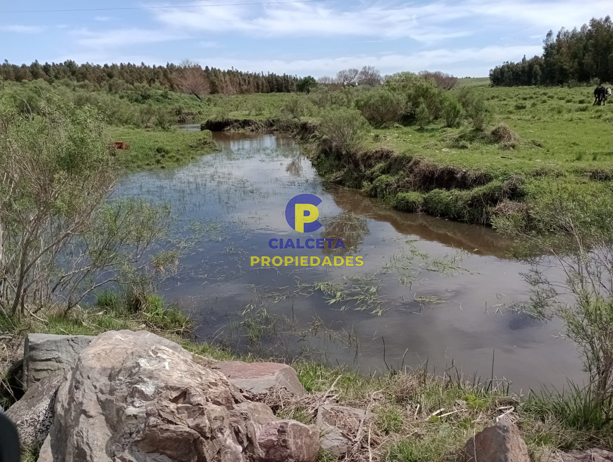 Campo Ref.313 - 73 hectáreas en Canelones