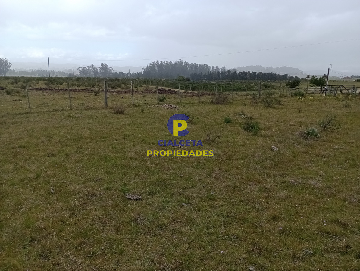 Campo Ref.113 - 5 hectáreas en Maldonado, Pueblo Edén