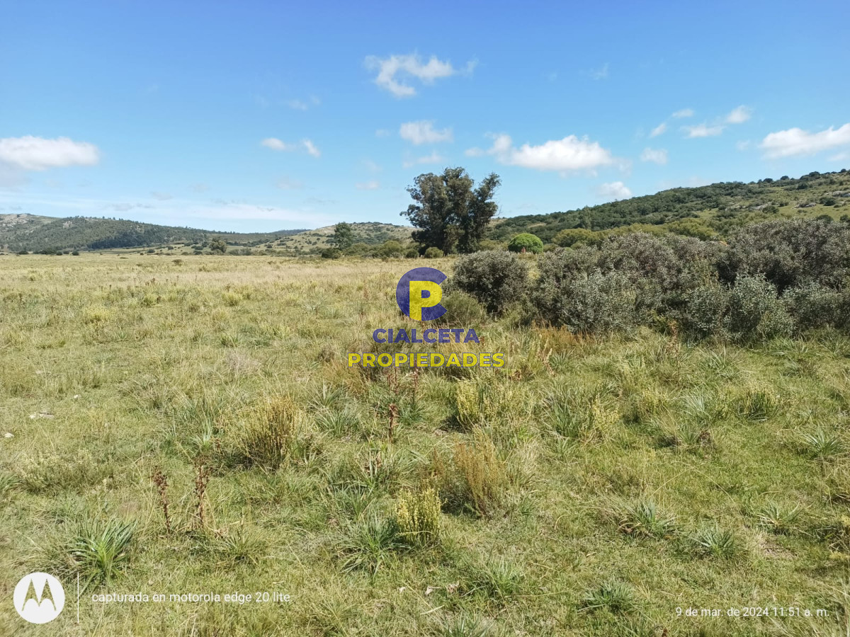 Campo Ref.408 - 16 hectáreas en Minas a la venta