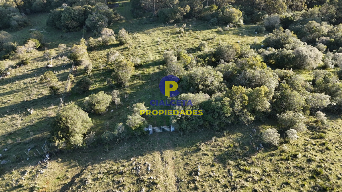 Campo Ref.526 - 60 hectáreas con casa , monte nativo, hermoso lugar