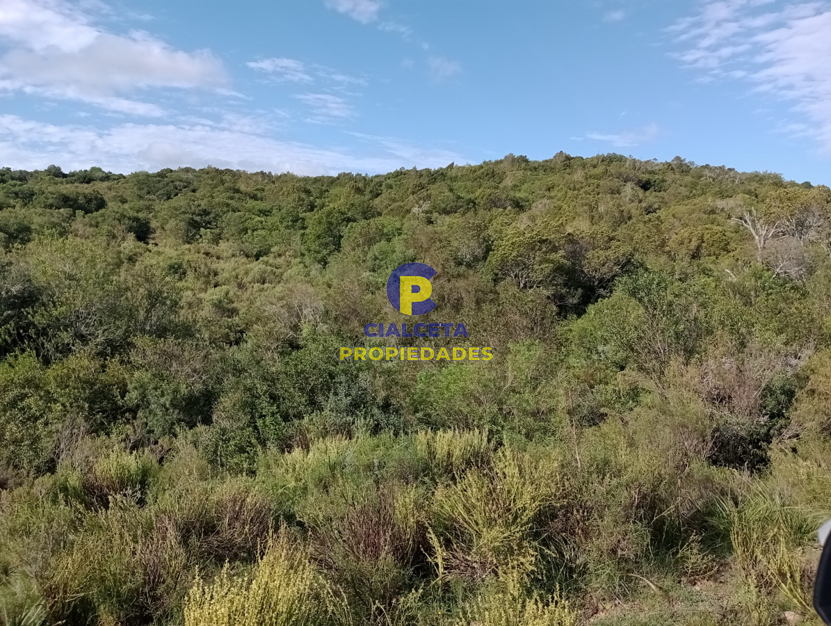 Campo Ref.141 - 490 hectáreas en Maldonado
