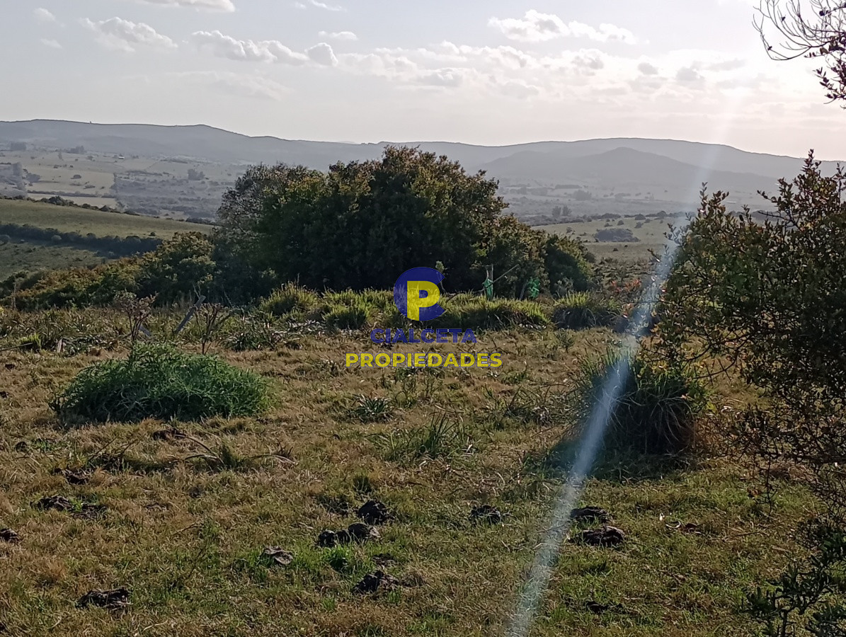 Campo Ref.112 - 5 hectáreas en Maldonado