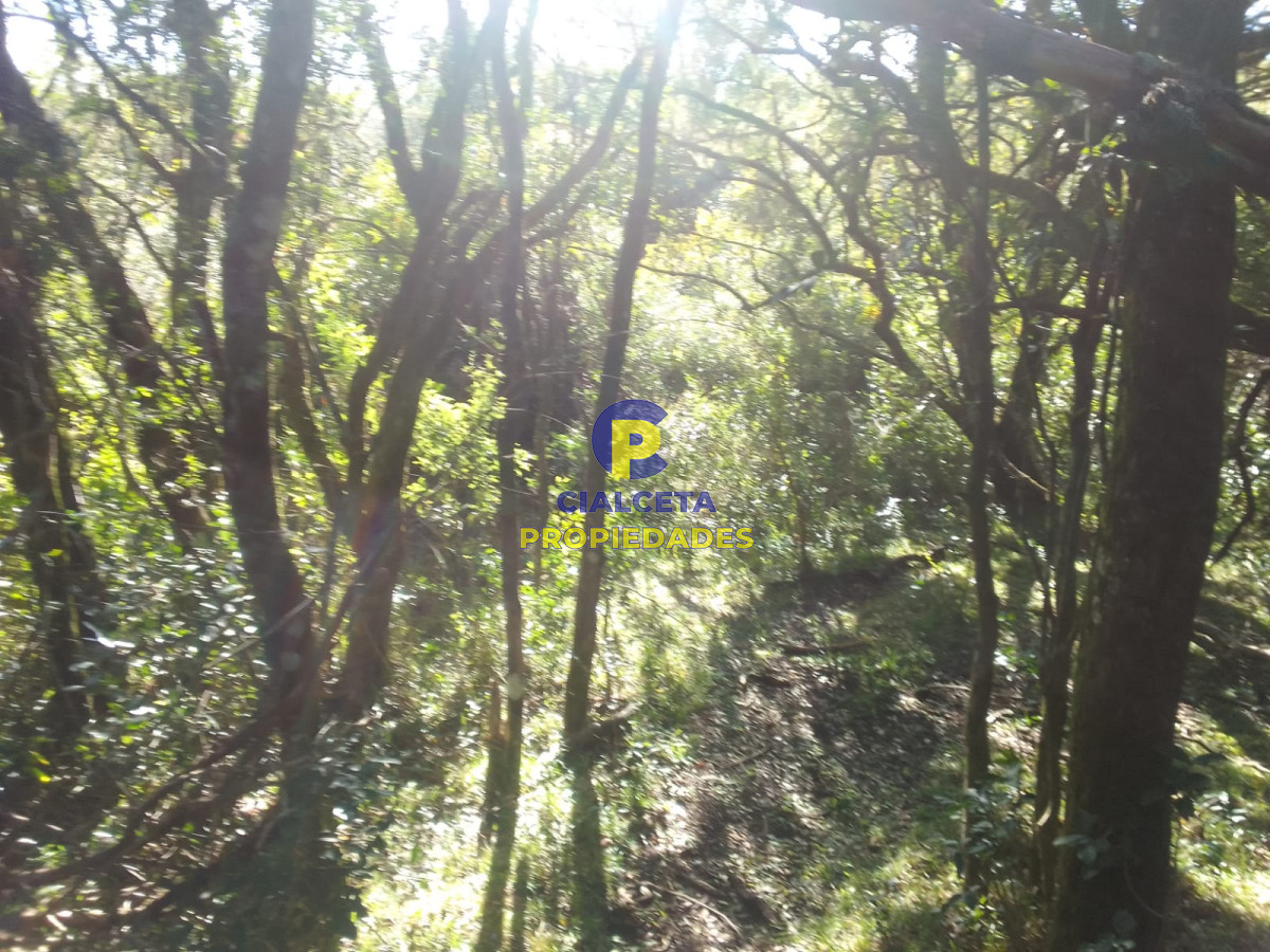 Campo Ref.398 - 41 hectáreas y media en Maldonado, Aigua