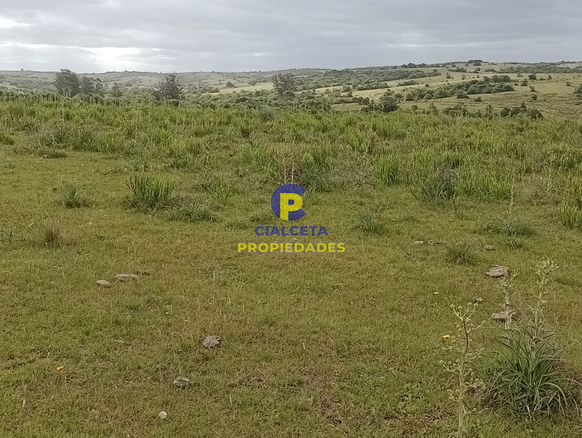Campo Ref.358 - 198 hectáreas en Garzón
