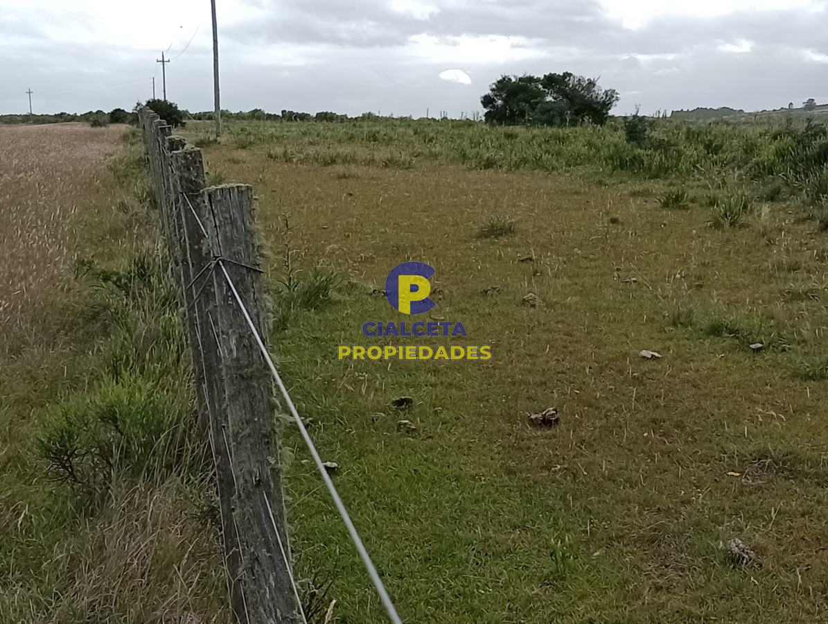 Campo Ref.358 - 198 hectáreas en Garzón