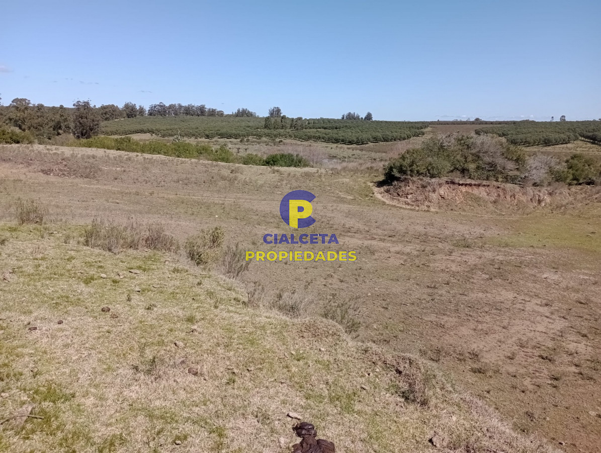 Campo Ref.307 - 16 hectáreas en Maldonado