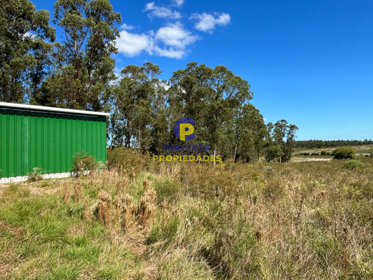 Campo Ref.567 - Linda fracción de 16 hectáreas y media con casa y galpón, buen acceso