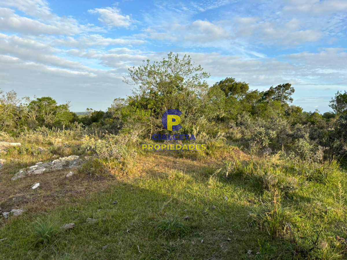 Campo Ref.399 - 121 hectáreas en Rocha