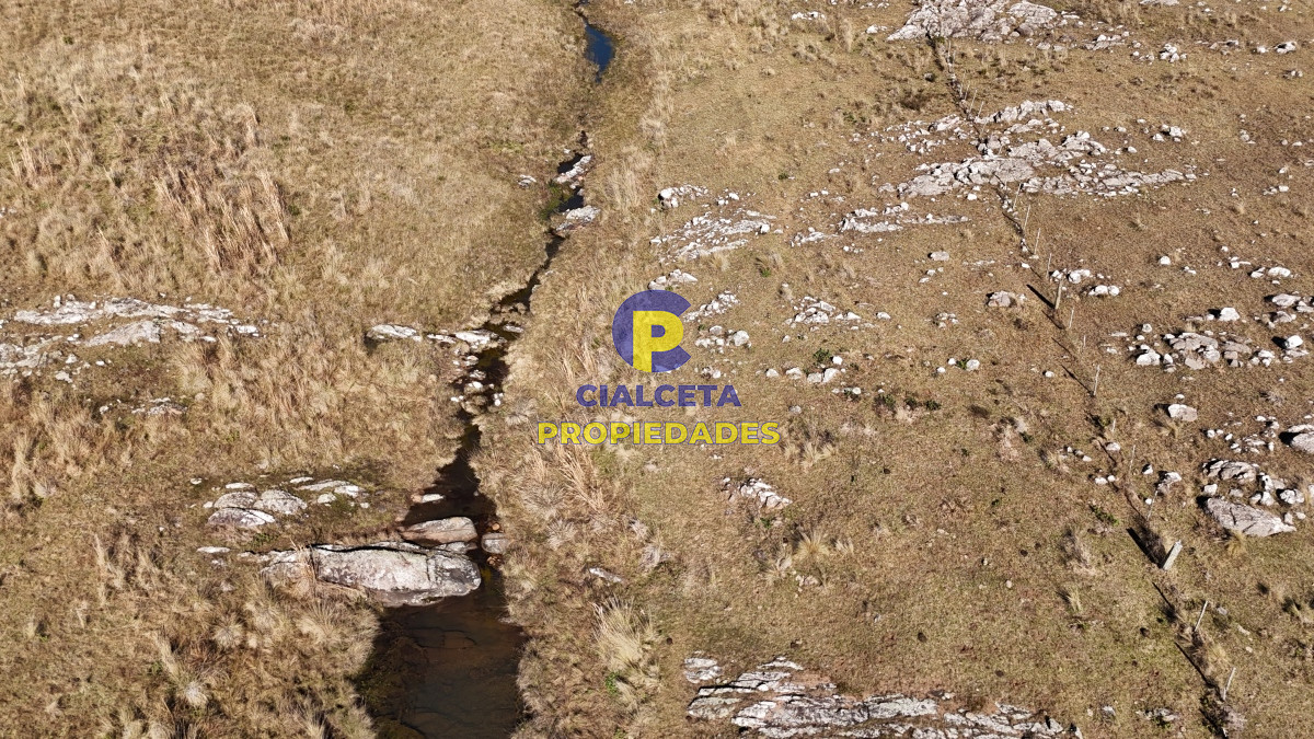 Campo Ref.494 - 140 hectáreas a 3.000 dólares la hectárea