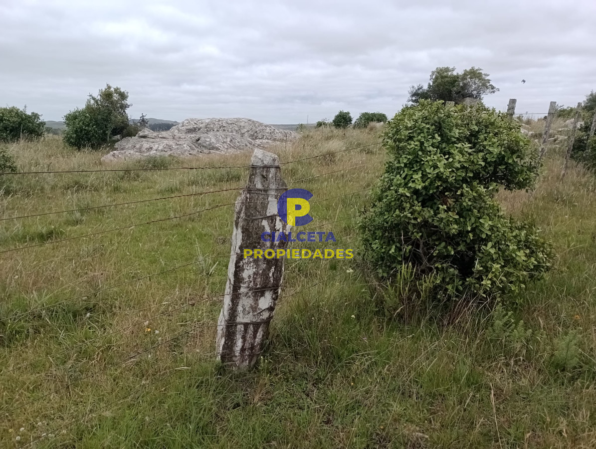 Campo Ref.372 - 95 hectáreas en Carapé