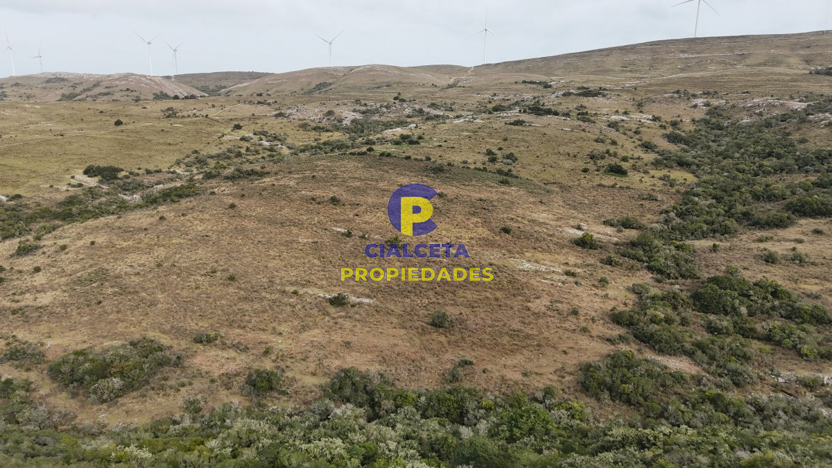 Campo Ref.502 - 86 hectáreas en Maldonado, con aguada, monte y cerro