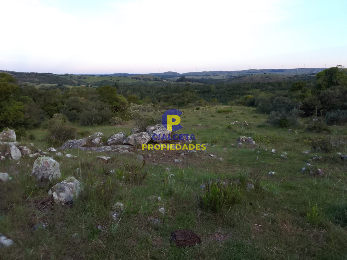 Campo Ref.89 - 330 hectáreas en Lavalleja