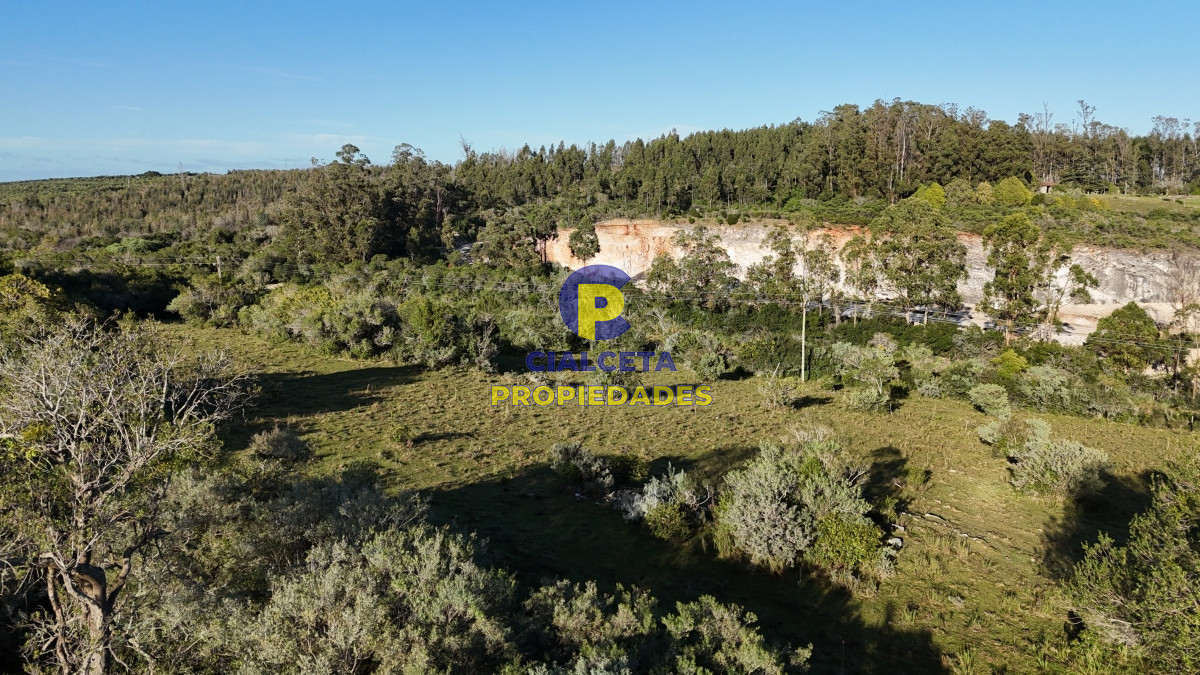 Campo Ref.457 - 28 hectáreas con cañada y monte nativo, Maldonado