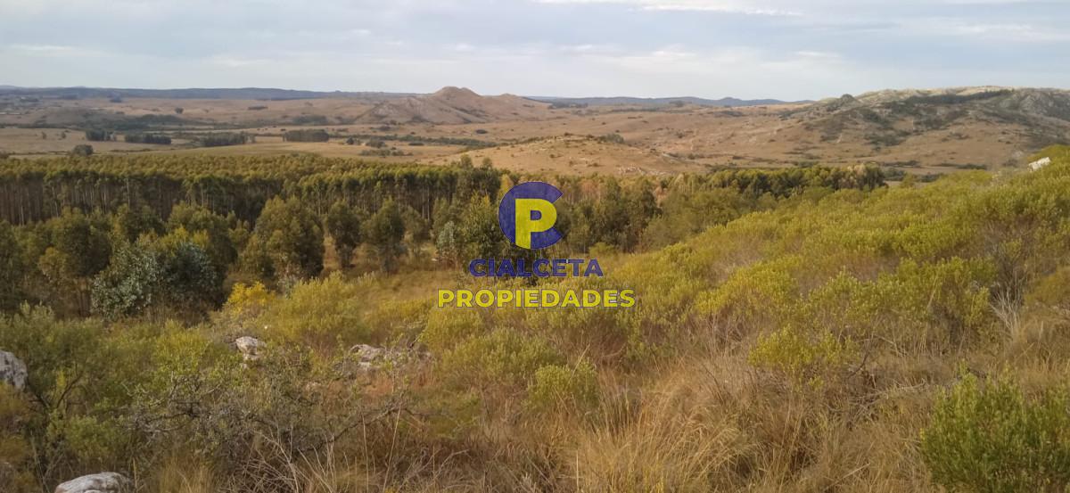 Campo Ref.50 - 5 hectáreas, entrega 8.000 U$S y cuotas de 593 U$S