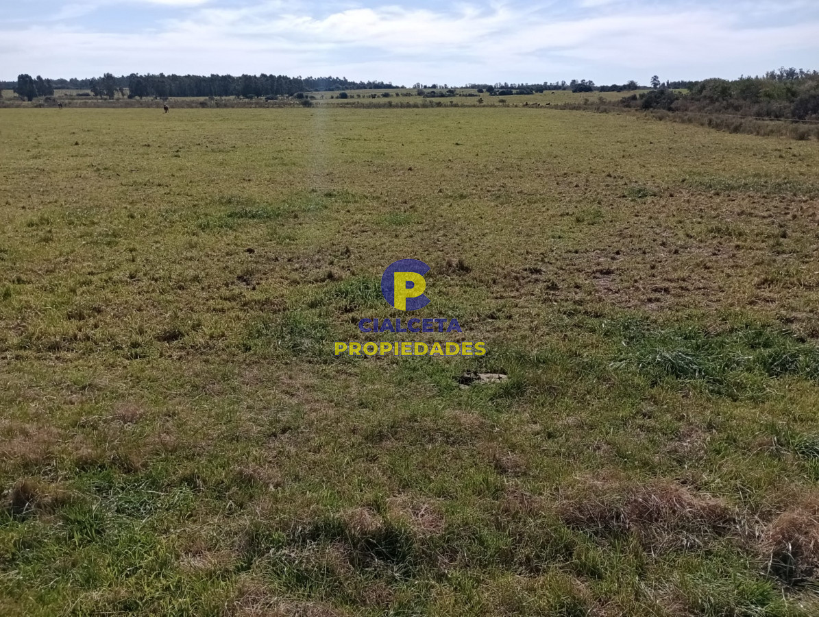 Campo Ref.288 - 5 hectáreas en Maldonado