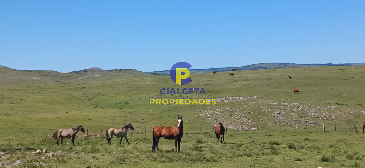 Campo Ref.324 - 215 hectáreas en Lavalleja