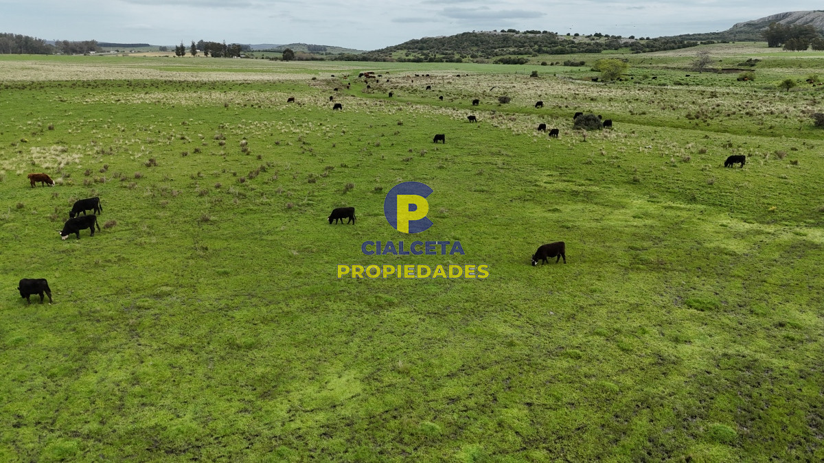 Campo Ref.538 - 68 hectáreas y media en Valle Fuentes con 200 de coneat