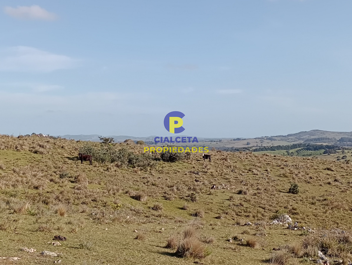 Campo Ref.112 - 5 hectáreas en Maldonado