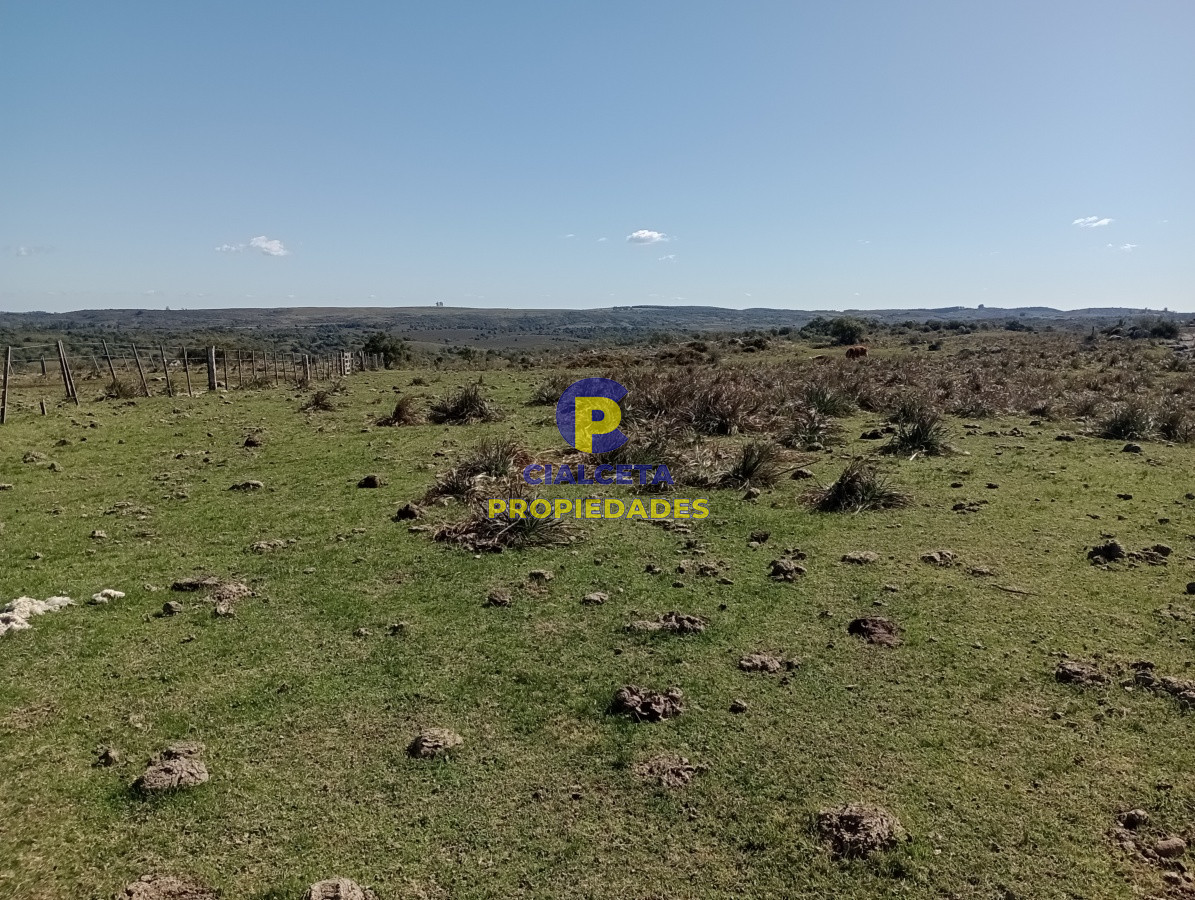 Campo Ref.135 - 2957 hectáreas en Cerro Largo
