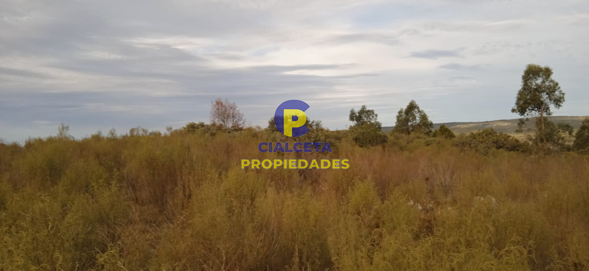 Campo Ref.50 - 5 hectáreas, entrega 8.000 U$S y cuotas de 593 U$S