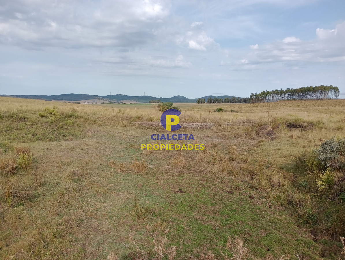 Campo Ref.190 - 228 hectáreas en lavalleja