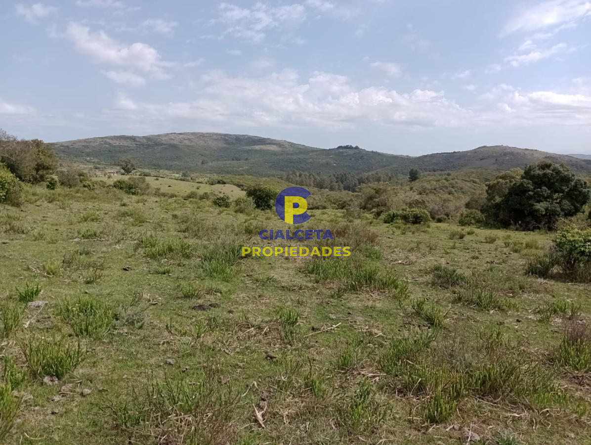 Campo Ref.317 - 55 hectáreas en Maldonado