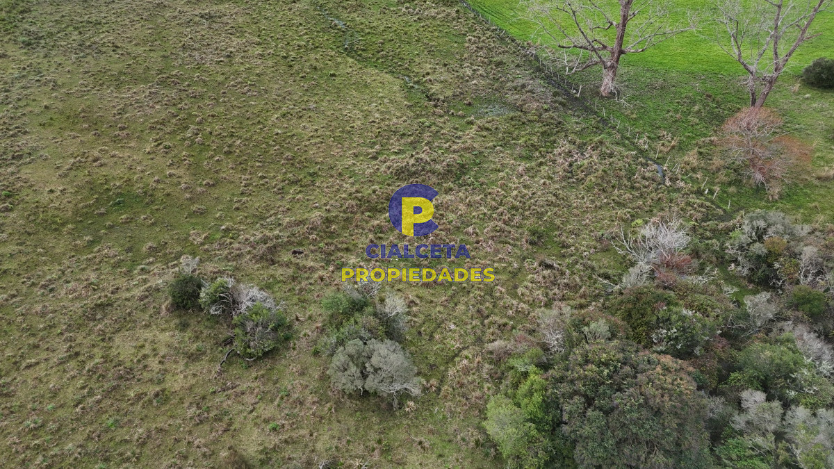 Campo Ref.461 - 60 hectáreas con arroyo y cañada en Maldonado