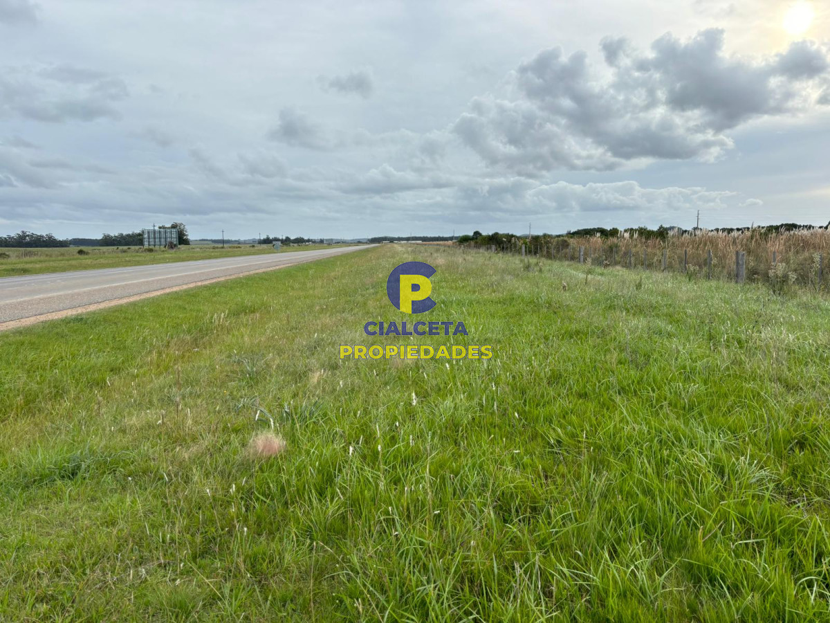 Campo Ref.418 - 50 hectáreas sobre ruta 9