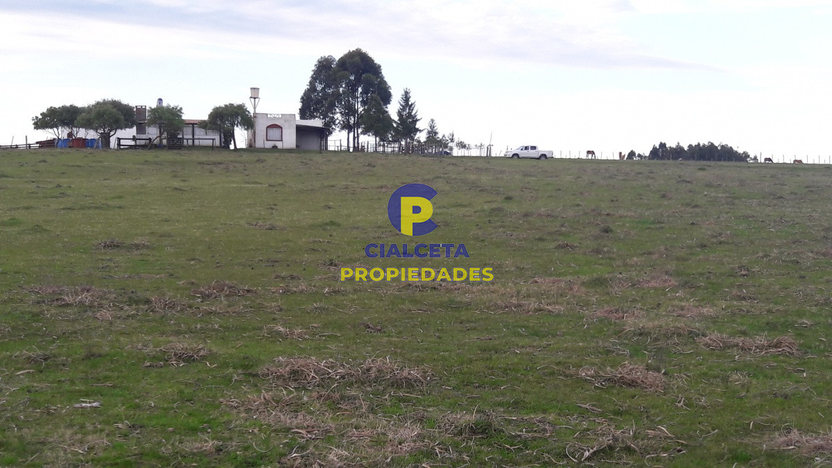 Campo Ref.211 - 8 hectáreas con casa y caballerizas