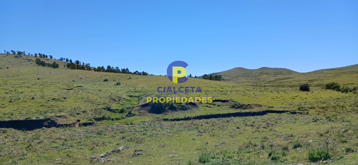 Campo Ref.324 - 215 hectáreas en Lavalleja