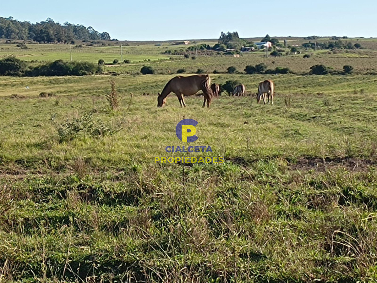 Campo Ref.429 - 32 hectáreas con represa y galpones