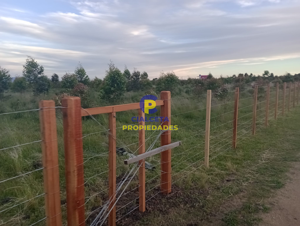 Campo Ref.342 - Campo con excelente casa