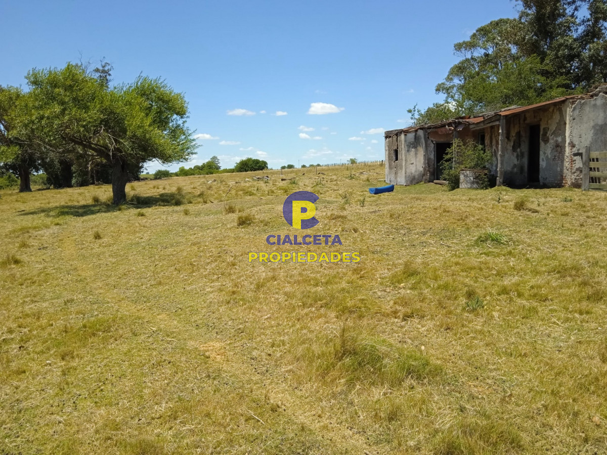 Campo Ref.273 - 23 hectáreas en Lavalleja con arroyo